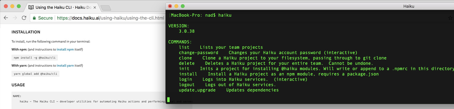 Haiku CLI